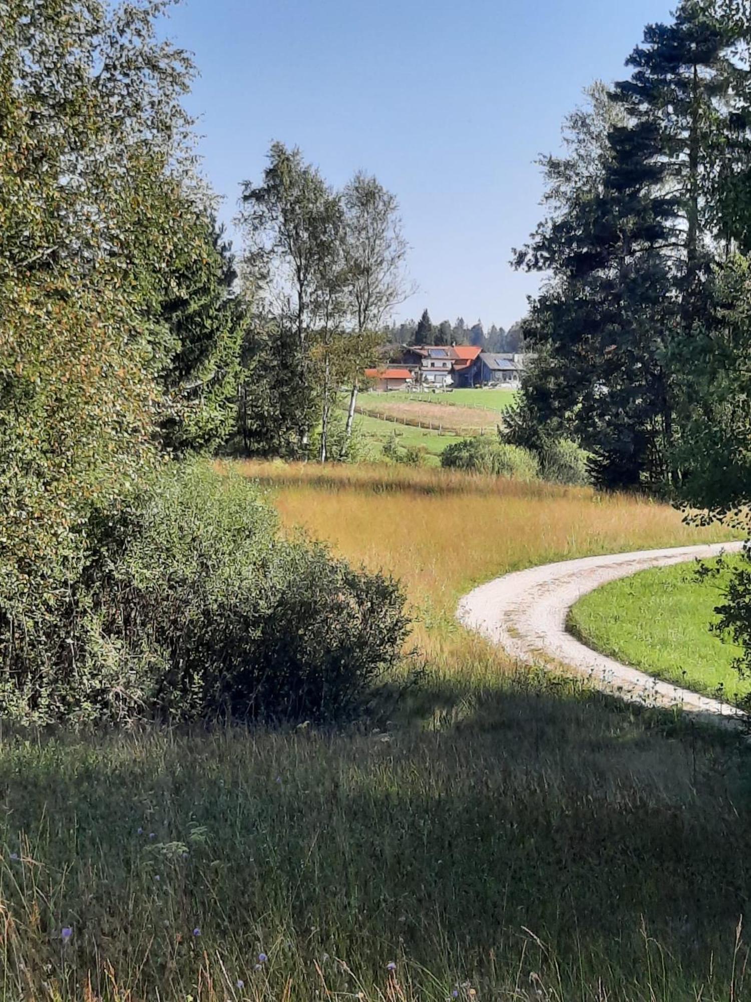 Ferienwohnung Am Wirtshof Siegsdorf Buitenkant foto