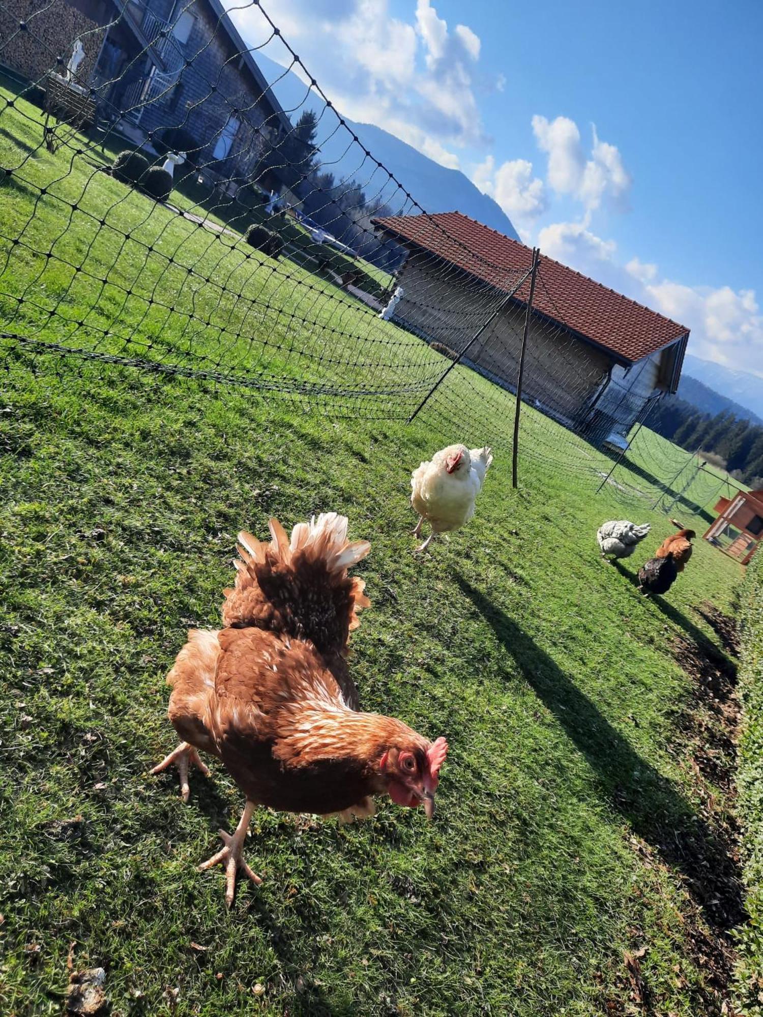 Ferienwohnung Am Wirtshof Siegsdorf Buitenkant foto