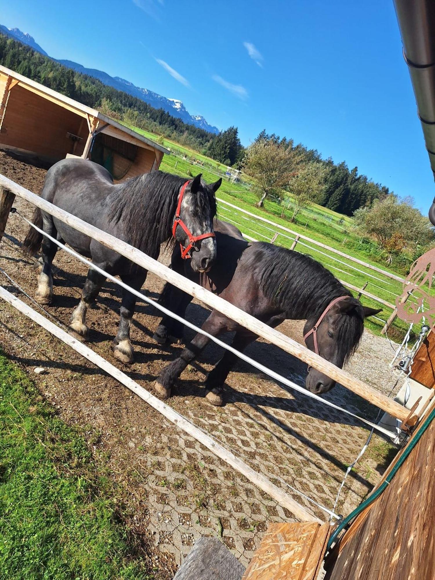Ferienwohnung Am Wirtshof Siegsdorf Buitenkant foto